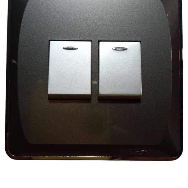 Lear Blesso Multi Colour Two Gang Switch