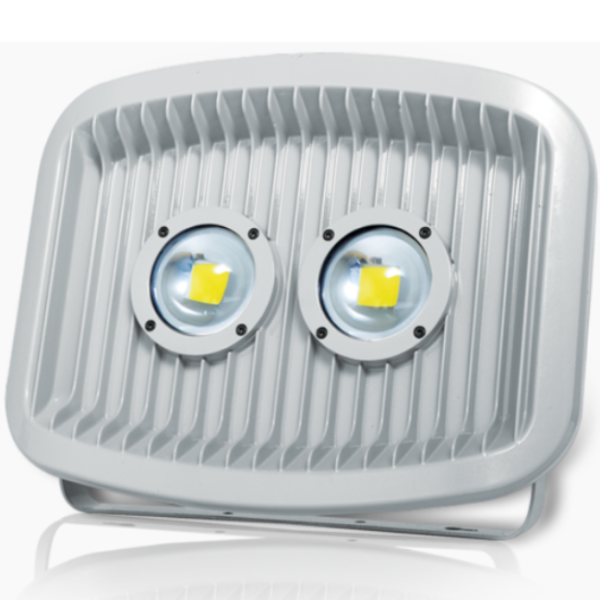 Paklite COB Double Lens Flood Light